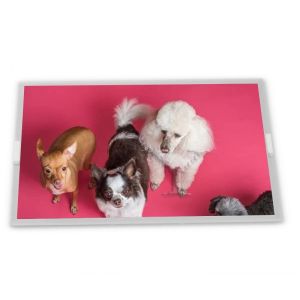 M240HW01 V0 24-Inch LVDS Display TFT Type 1920*1080 Resolution LCD Module