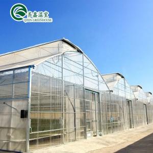 Vegetable Fruits Flowers Tomatoes Greenhouse with Inside and Outside Shading