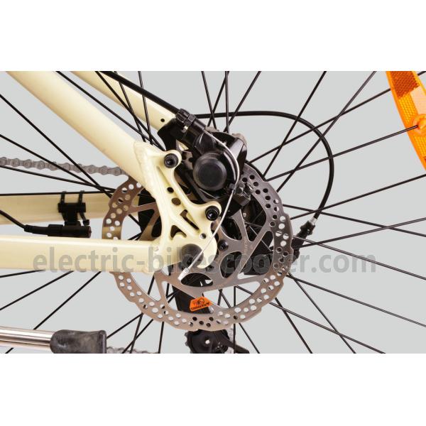 32km/H Mens Mid Motor Electric Bike , 36V 350W Mid Motor Electric Mountain Bike