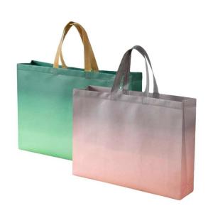 Wholesale Price Custom Printed Recycle Reusable Holographic Silver PP Laminated