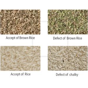 128 Channels Color Sorting Machine for White Red Rice Intelligent CCD Sorting