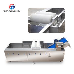 250KG Fruit and vegetable washing machine automatic sterilization washing