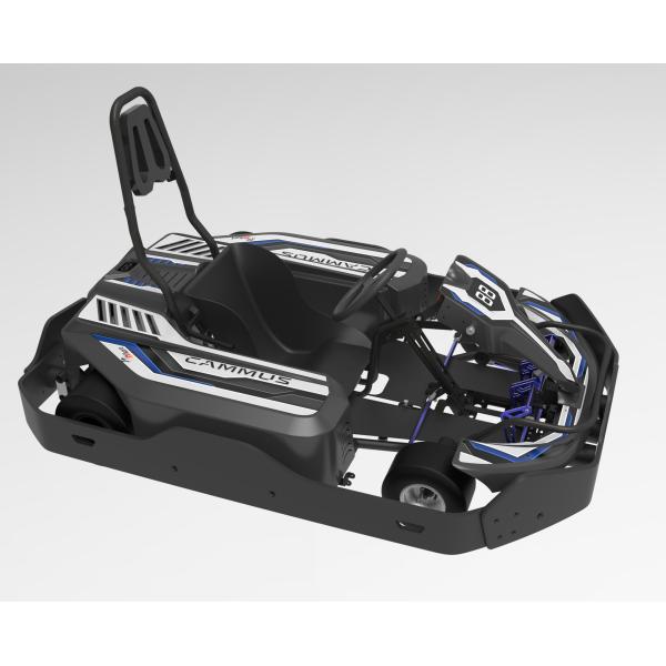 Buy Hard Axle Servo Motor Adult Racing Go Karts 65km/h at wholesale prices