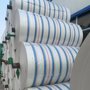 Customized Color PE Tarpaulin Waterproof Dust-proof Rainproof Moisture-proof for