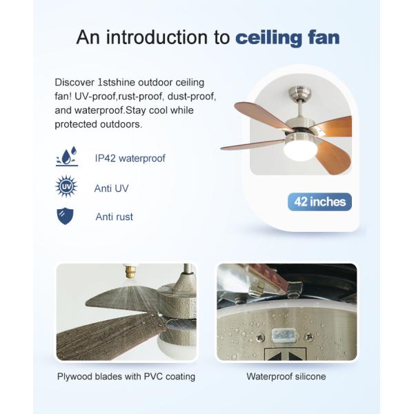 ceiling fan ceiling fan