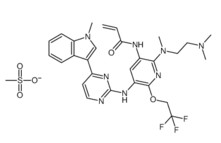 China AST2818 mesylate;CAS:2130958-55-1(sandra19890713@gmail.com) on sale