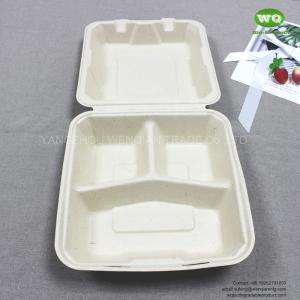 8/10 Inch Compostable Natural-Pulp 3-Compartments Lunch Bento Box Biodegradable