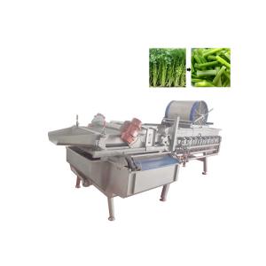 Quality CE Approved Broccoli Lettue 1 Ton/H Vegetable Washing Machine for sale