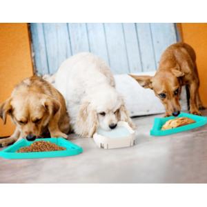 Pet Puzzle Slow Feeder IQ Interactive Training Toy