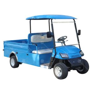 China 2 Seater Electric Carryall Golf Cart Heavy Duty ODM on sale