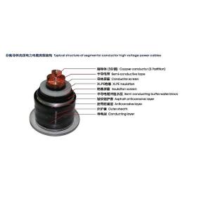 Power Cables Cu/XLPE/CAS/PVC XLPE Insulated Underground Power Cable