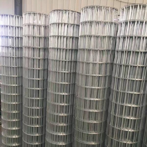 Galvanized 2x4 inch Welded Metal Wire Mesh 14 Gauge 60 in X 100 ft
