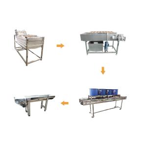 China Commercial Air Bubble Fruit And Vegetable Cleaning Line on sale