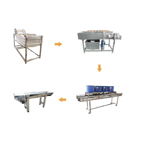 Buy Commercial Air Bubble Fruit And Vegetable Cleaning Line at wholesale prices