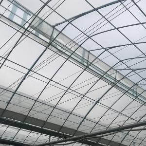 Automatical Controlling System Galvanized Steel Frame Film Greenhouse for