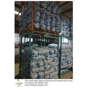 Garlic to Dominica with mesh bag package.