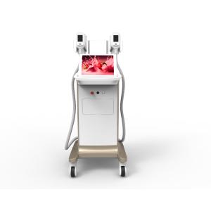 Factory selling hottest Cool sculpting cryolipolysis slimming machine with -15