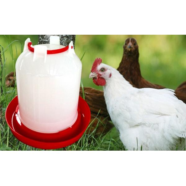 PE Bucket Broiler Chicken 10L Poultry Feeder Drinker