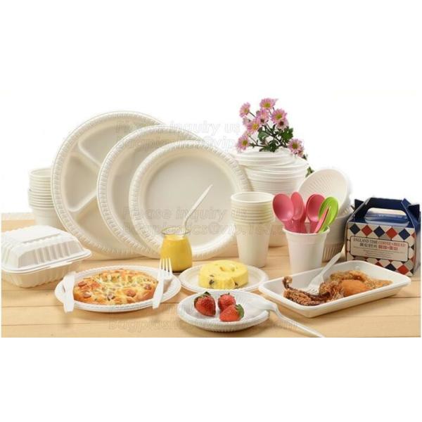 100% Biodegradable and compostable sugarcane pulp packaging disposable paper