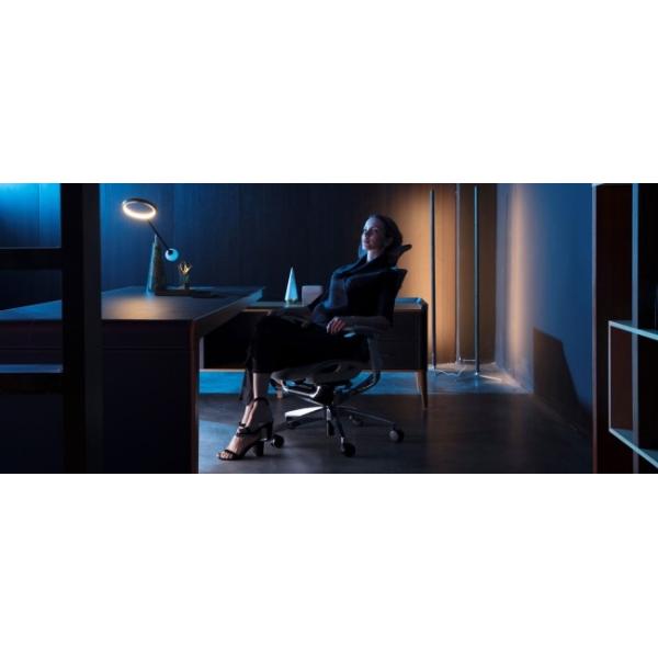 Headrest Adjustable IFIT Office Chair Ergonomic Desk Chair High Back Swivel Chairs