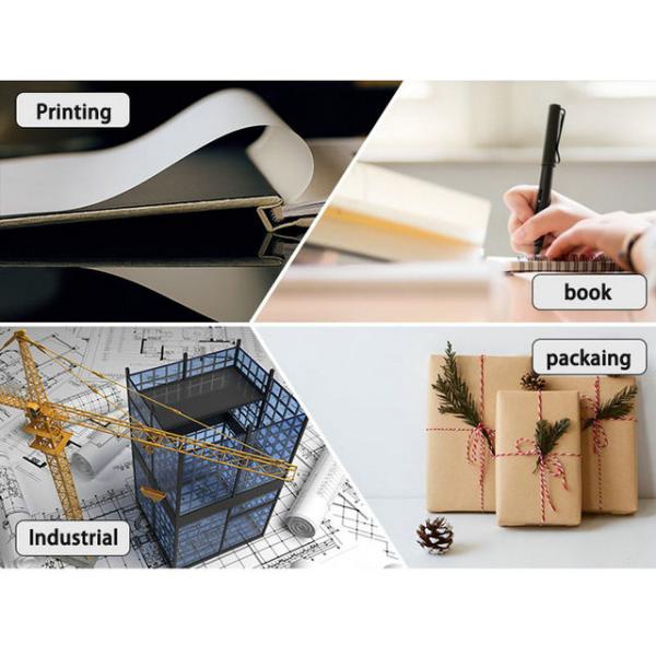 FSC 45 gram to 48.8 gram 100% Virgin News Paper Sheet Grade AA 68* 100cm