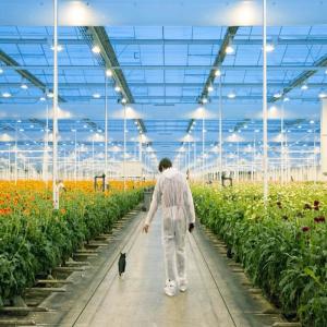 Quality Adjustable Light Sustainable Steel Film Greenhouse Solar System for sale