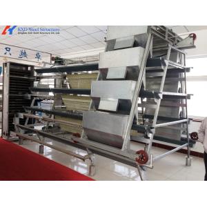 Steel Chicken Layer Cages A Type H Type Automated Battery Cage