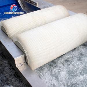 250KG Fruit and vegetable washing machine automatic sterilization washing