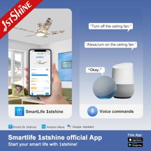 56 Inch Ceiling Fan with Dimmable LED Lighting and 5 ABS Plastic Blades