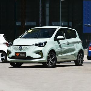 Energy Small Electric Car Changan Benben E-star 2023 0km Max torque 1 Range NEDC