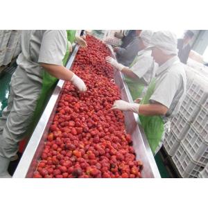 Industrial Mulberry Raspberry Berry Processing Equipment High Stability