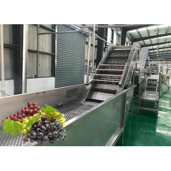 Water Saving Fruit Juice Processing Equipment Fresh Grape Washing Machine