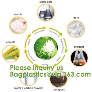 Plastic Corn Starch Wholesale Custom Printed Private Label Cornstarch Compostabl