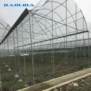 Strong Structure Heavy Duty Plastic Greenhouse / Plastic Tomato Greenhouse