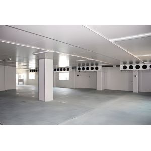 Quality Customizable Energy Saving Container Cold storage equipment with Customized Cooling Capacity for sale