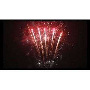 98 Shots New Year Petard Pyrotechnic Consumer Cake Fireworks Customized