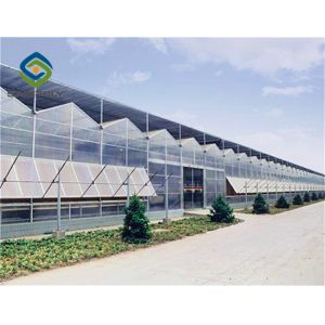Commerical Arch Roof 8m 12m PC Sheet Greenhouse