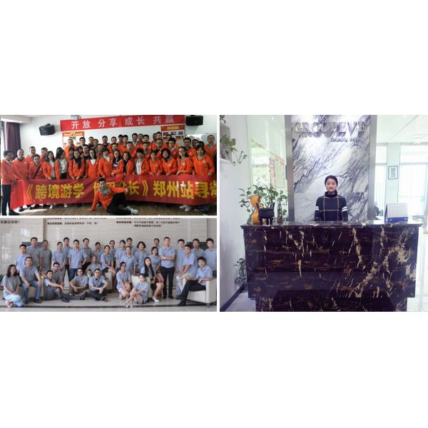 Customizable Modern Design Zebra Blinds Fabric for Exterior Installation Window Blinds