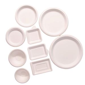 10 Inch Pulp Plate Sugarcane Bagasse Tableware