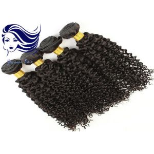 100 Virgin Brazilian Remy Hair Extensions / Virgin Brazilian Straight Hair