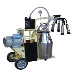 China hot sale easy operate small dairy plant cow milking machine on sale