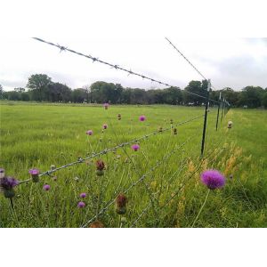 Agriculture 2.5mm Galvanized Barbed Wire