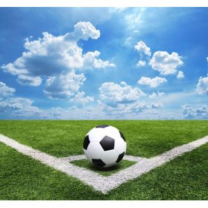 Plastic Flat Football Synthetic Grass Chemical Free Environment Protection