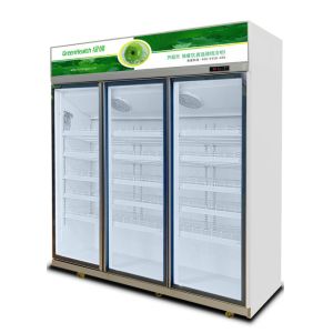 Customization Low E Glass Upright Commercial Beverage Cooler Rapid Cooling