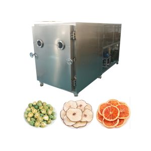 Dried Fruit Industrial Freeze Dryer Machine 200kg/batch