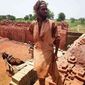 China 42 Gate Dry Hoffmann Kiln ISO Approved Hoffman Brick Kiln on sale