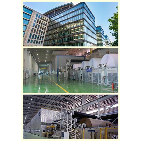 One sided PE Poly Coated 250gsm 270gsm 300gsm Kraft Paper Board for Food Paper Plates