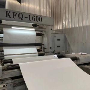 12-20gsm PE Paper Cup Bottom 160g Plastic Coated Paper Roll