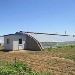 China Tomato Passive Solar Greenhouse With Electric Roll Up Ventilation on sale
