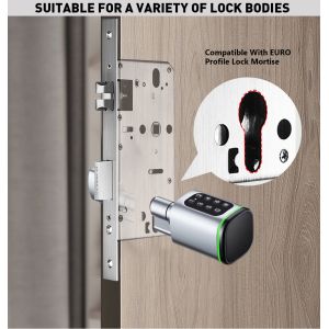Glomarket Tuya Ttlock Smart Digital Keyless Door Lock Cylinder Combination